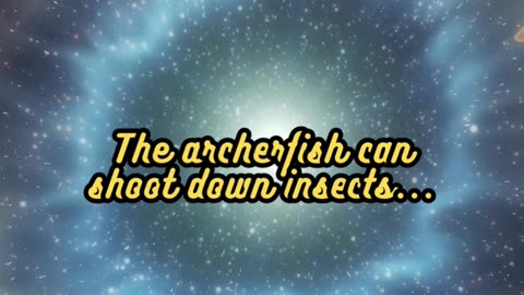 Animal Facts Archerfish Accuracy #shorts