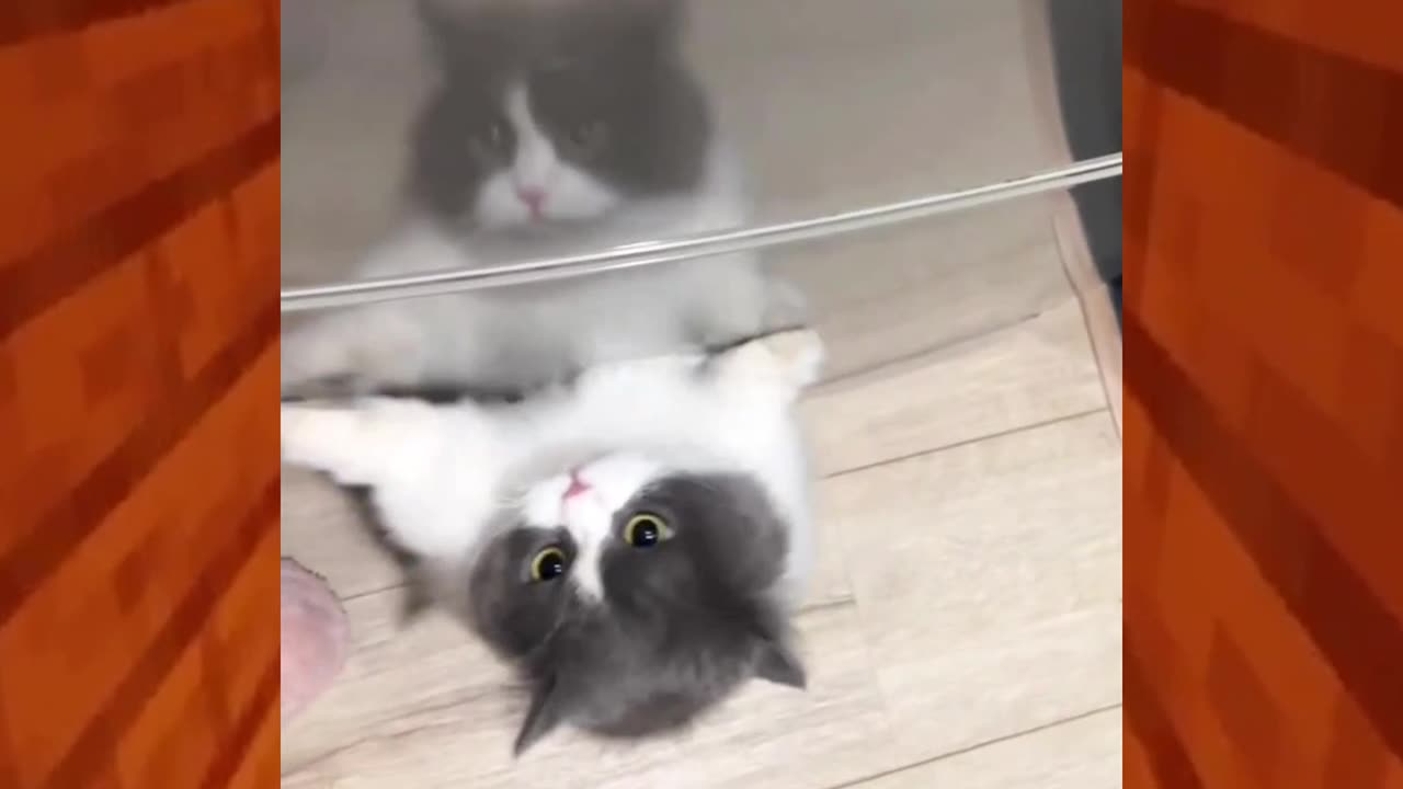 Adorable😍