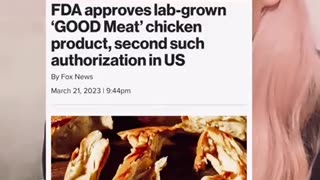 Lab grown meat by the company ‘Good Meat’ has been approved by the FDA: full boycot