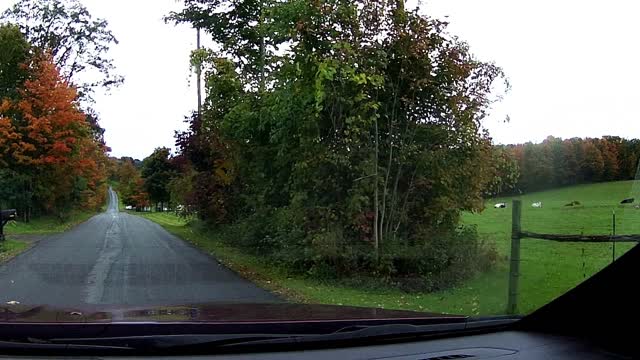 Catskill fall Colors #1 75 percent