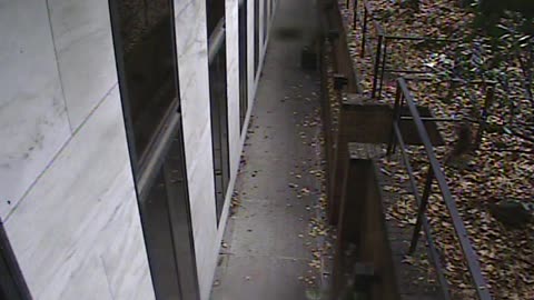 1457HSOB01GroundSoutheast_2021-01-06_09h58min20s050ms.mp4