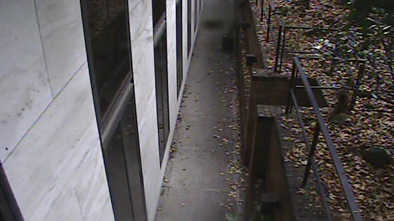 1457HSOB01GroundSoutheast_2021-01-06_09h58min20s050ms.mp4