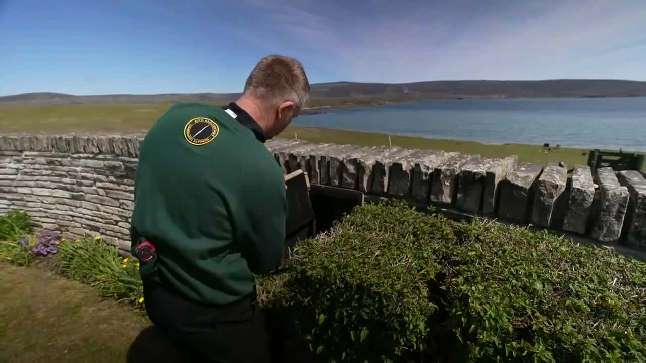 Veterans make 'emotionally challenging' return to Falkland Islands.6