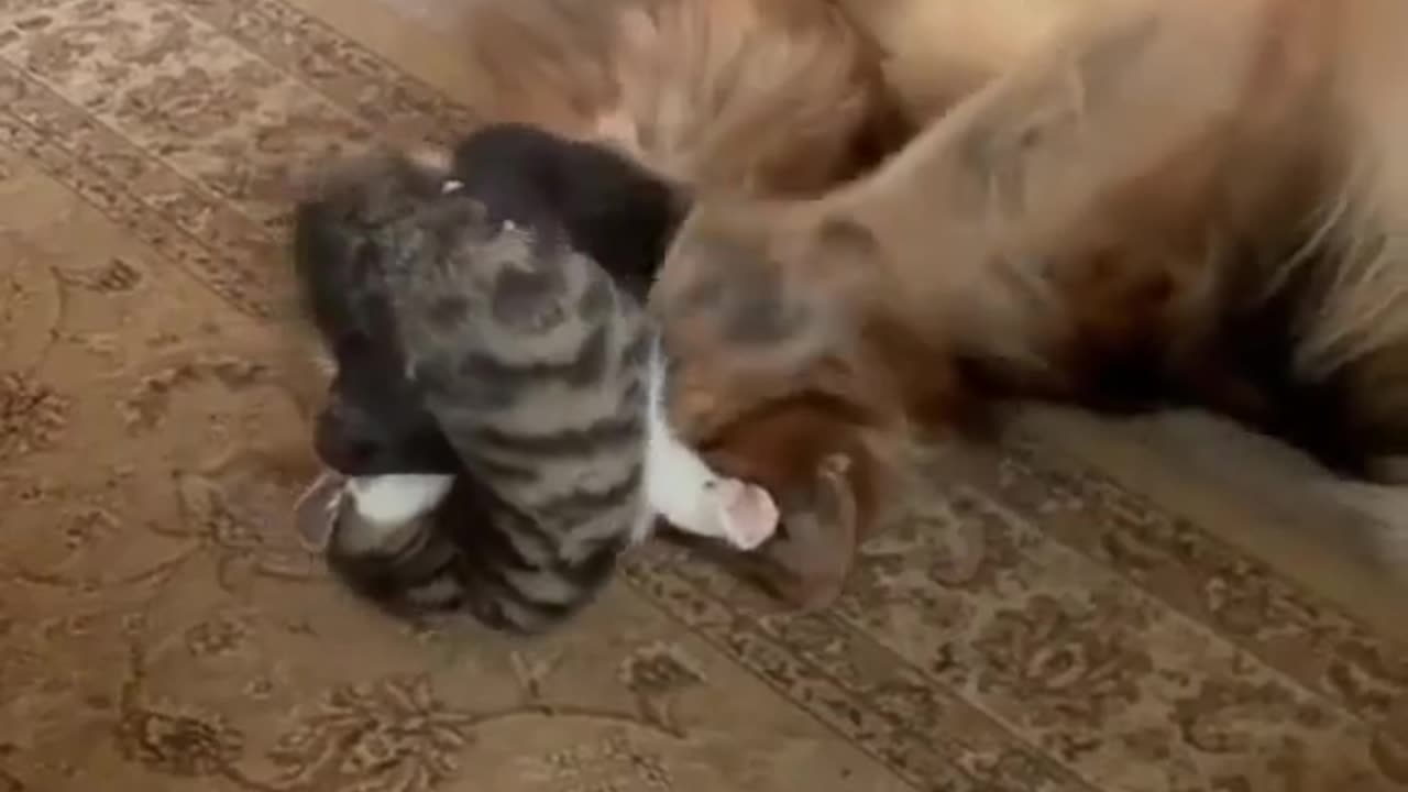 no more bites out of crime just a mouthful of love