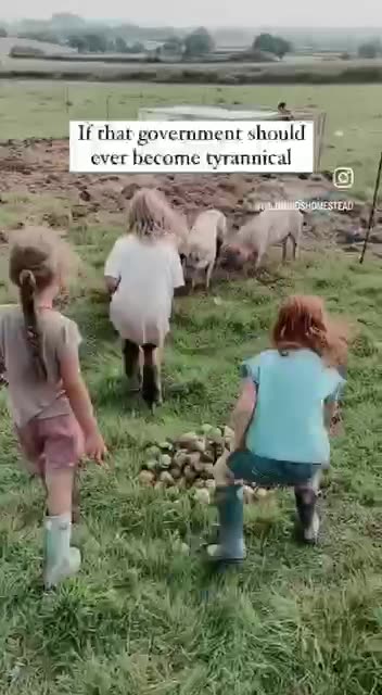 How to Resist Tyranny