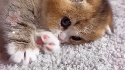 Do you love me
