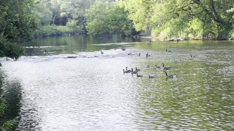 Happy Father’s Day. Tranquil day Toronto