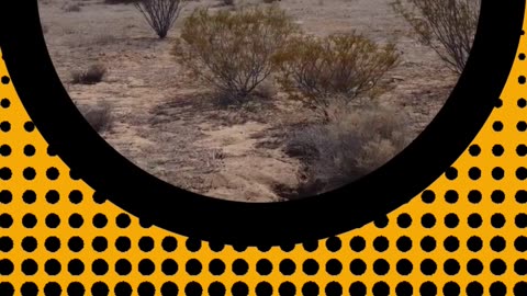 Utilities Included: Seize the Opportunity with Vacant Land Kern County! - Ancestry Lands