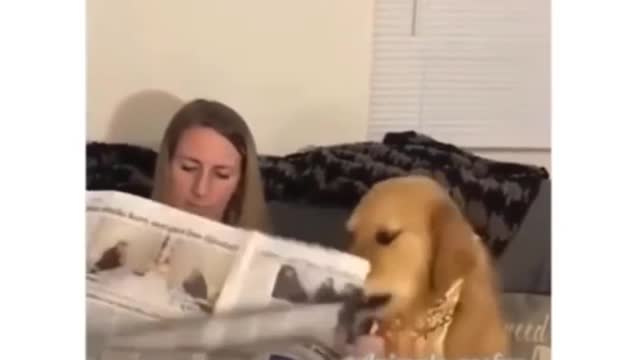 This newspaper is so interesting