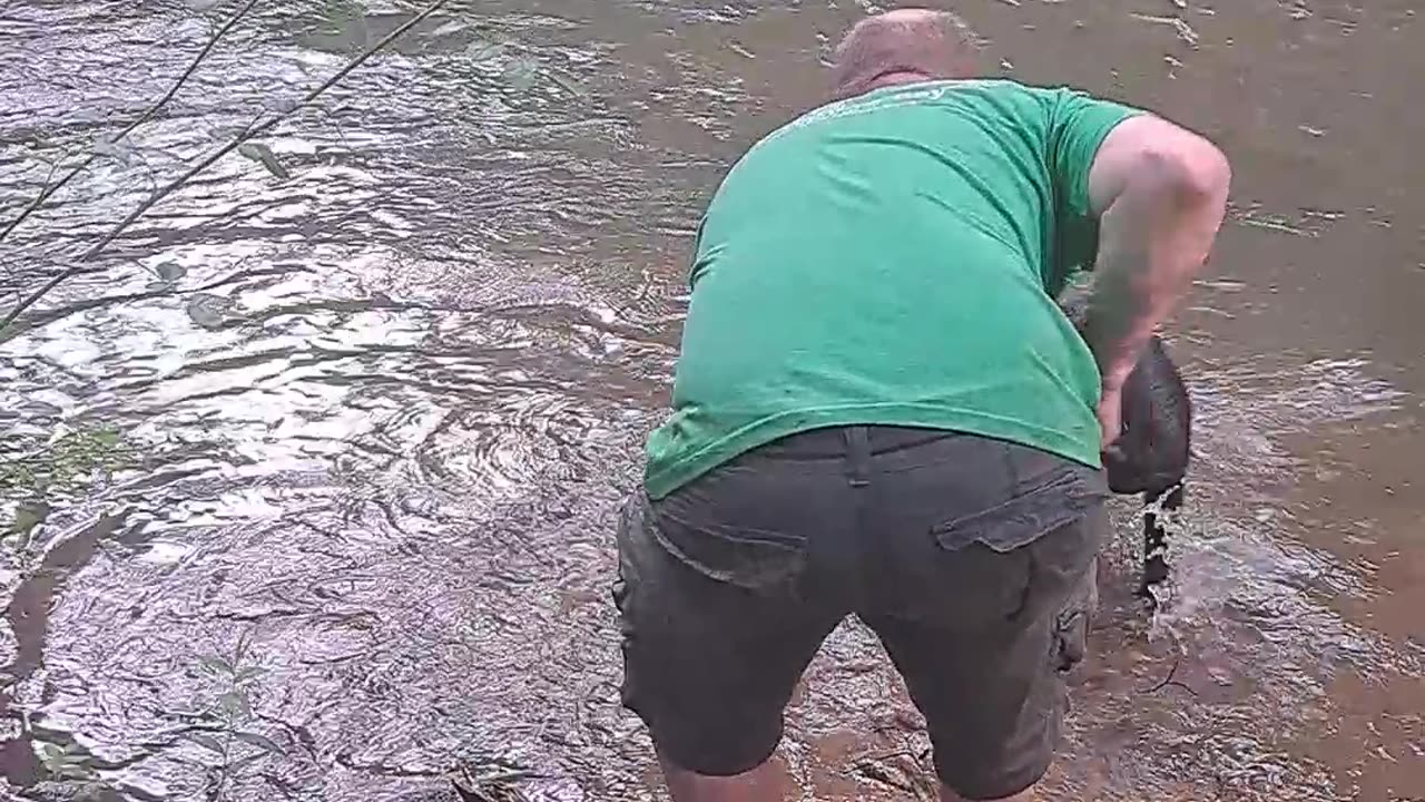 Luci Lu cooling off in a nearby creek.