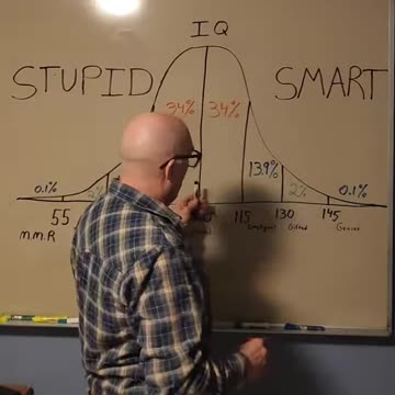 Smart or Stupid?