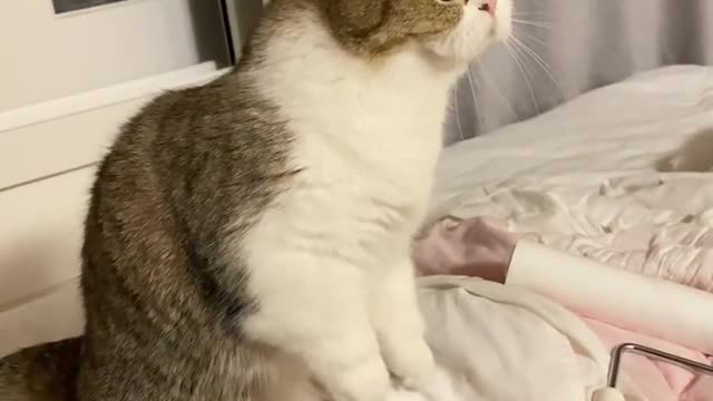 러블리 귀여움!!