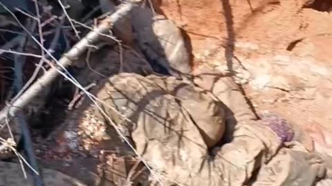 The Armed Forces Of Ukraine Are Mining The Corpses Of Their Own Brothers
