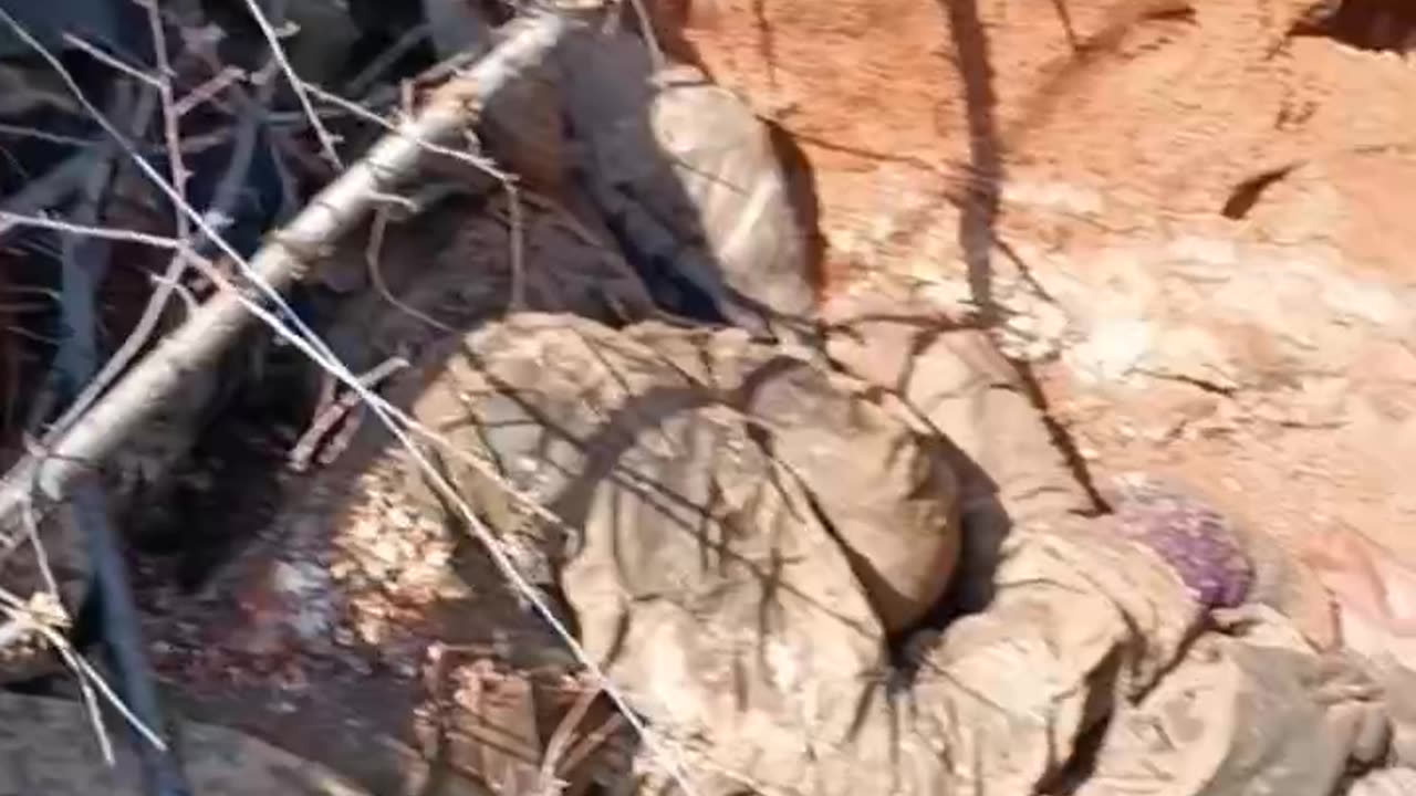 The Armed Forces Of Ukraine Are Mining The Corpses Of Their Own Brothers