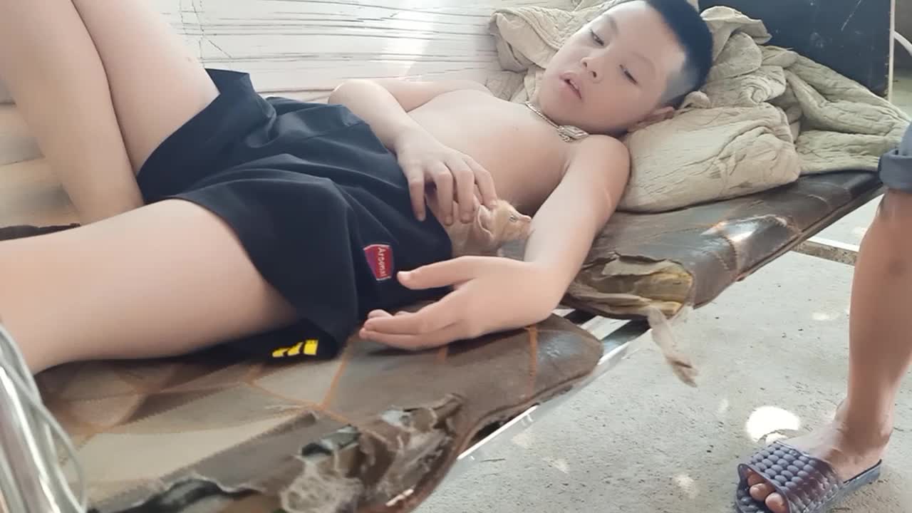 Boy lulls kitten to sleep