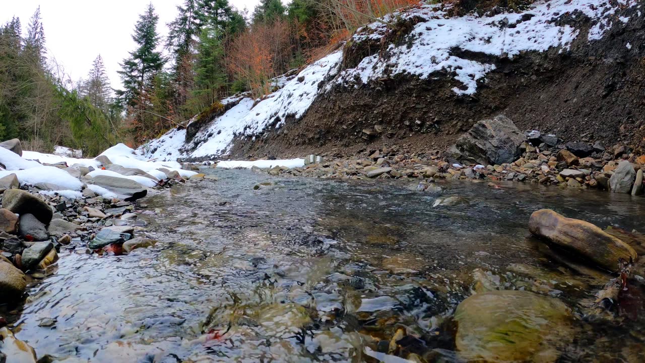 river #nature #river #shorts #short