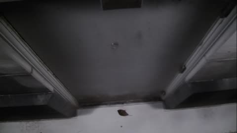 0921USCG00HT18Exterior_2021-01-06_00h00min00s787ms.mp4