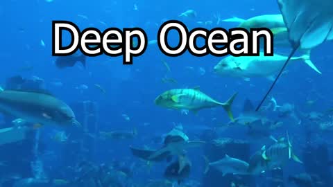 Deep Ocean - Underwater Sounds 15min Deep Sea Sound Effects Relaxing Sleep Study Ambience