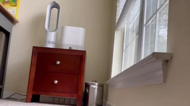 FUNNY PARROT PLAYING