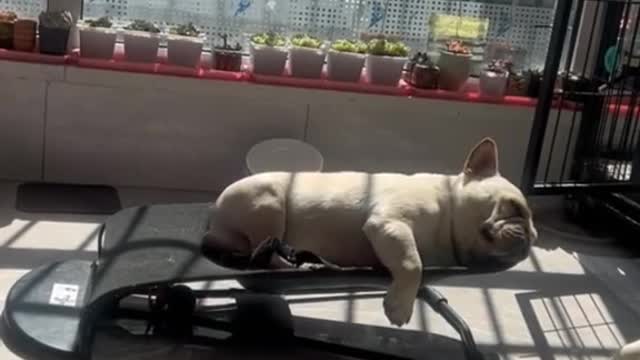 tui có muốn vậy đâu.