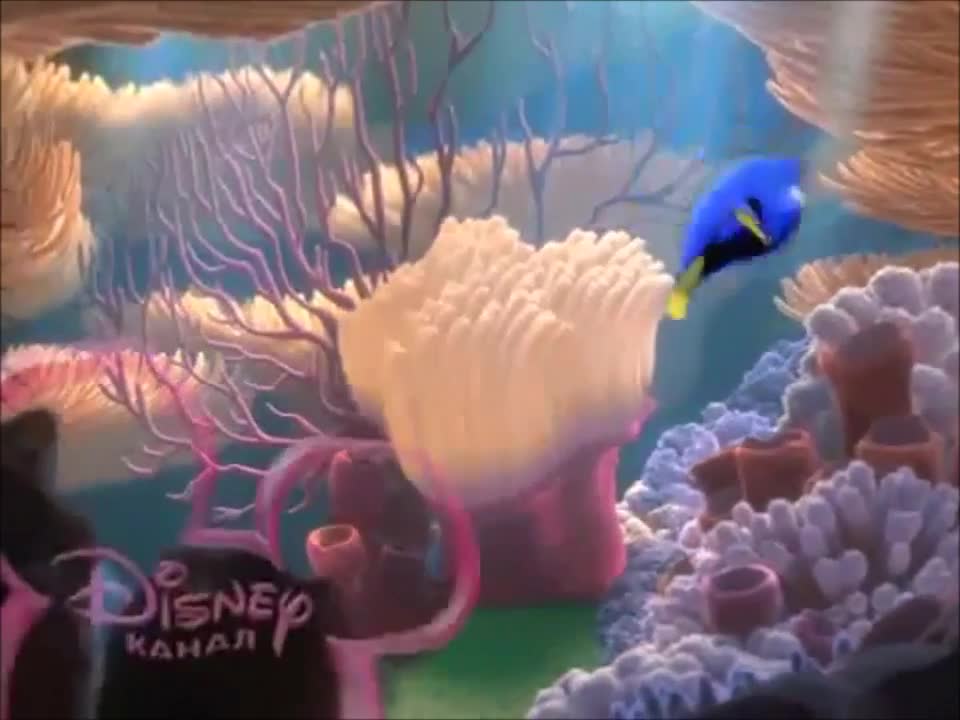 Disney Channel Bumper_ Finding Nemo #2 (2012-2014)