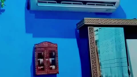Enjoy