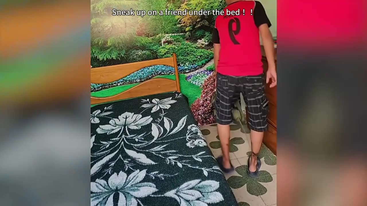 Everyday hilarious moments😂😂🤣