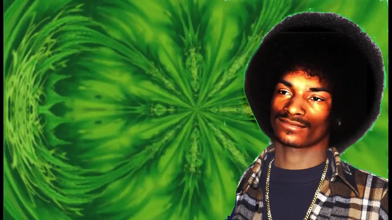 YOUNG SNOOP DOGG TRIPPIN