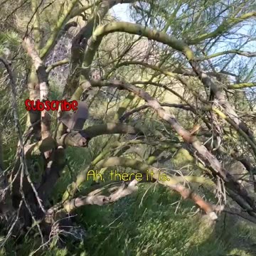 Could this Barn be the Geocache? let's see