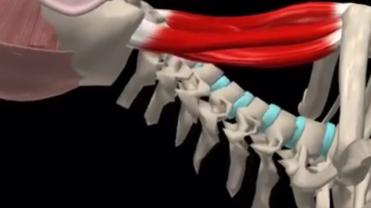 neck pain treatment