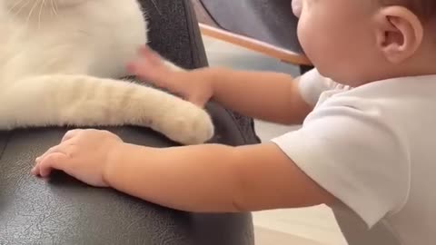 Cute baby playing with funny cat