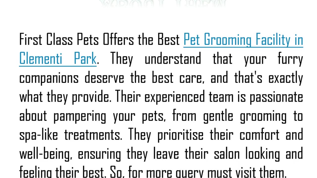 One of the Best Cat Grooming Service in Clementi Park