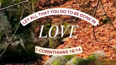 Everything is done with love