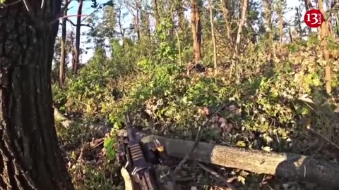 "Surrender, you will all die" - an image of a forest battle with Russians near Bakhmut