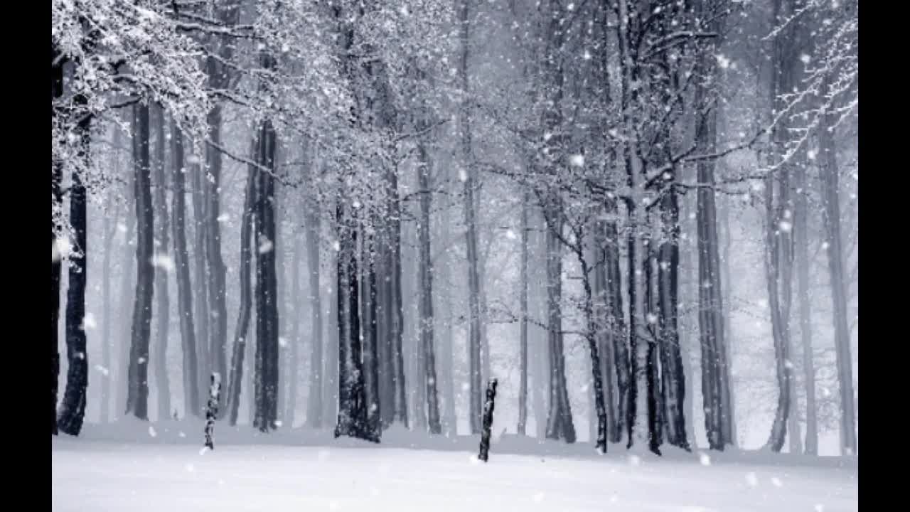 Magical view of snow fall