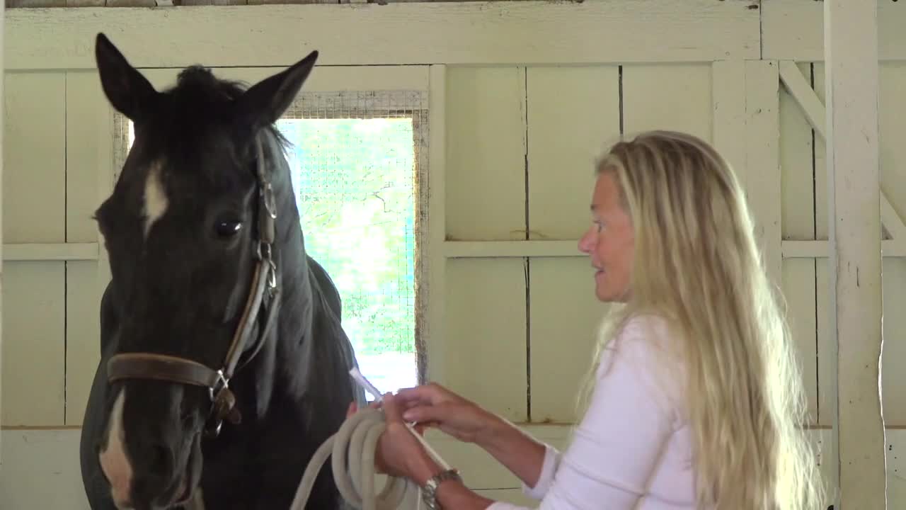 Season 5, Episode 3: Featuring “Das Horse Professor,” Andrea Kutsch