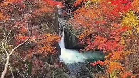 a small bridge over the flowing stream