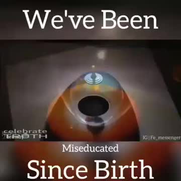 We've been MISEDUCATED since BIRTH