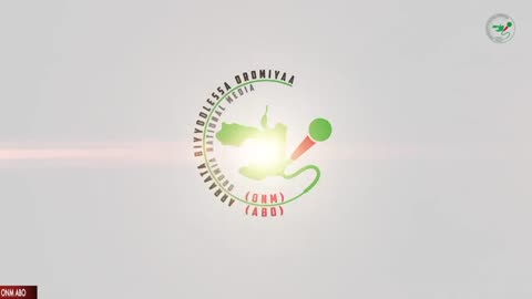 Oduu Waaree ONM-ABO Hagayya 31-2024 itti dhiyaadhaa!