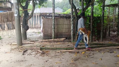 Scary Fake Tiger Vs Man Prank In Village! | Dhamaka Furti