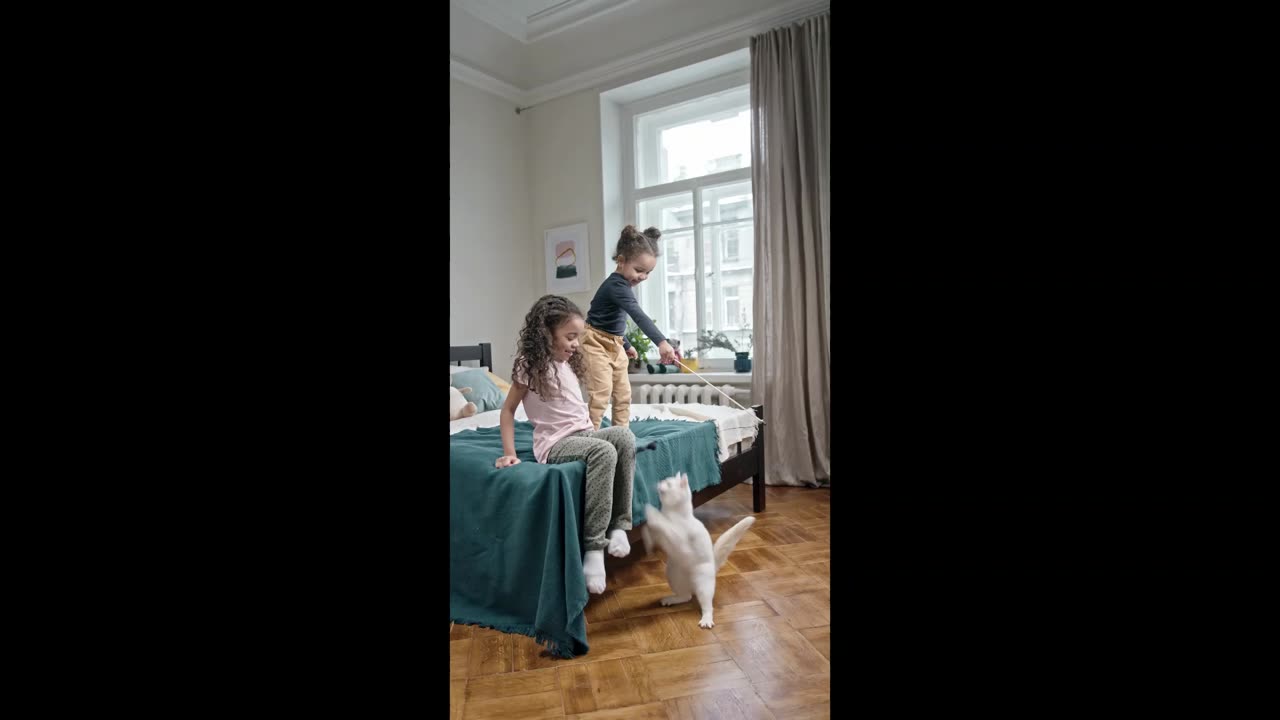 Children are playing with the cat😻