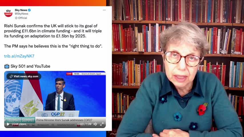 Environment or Immigration - Enough Taxes For Both?