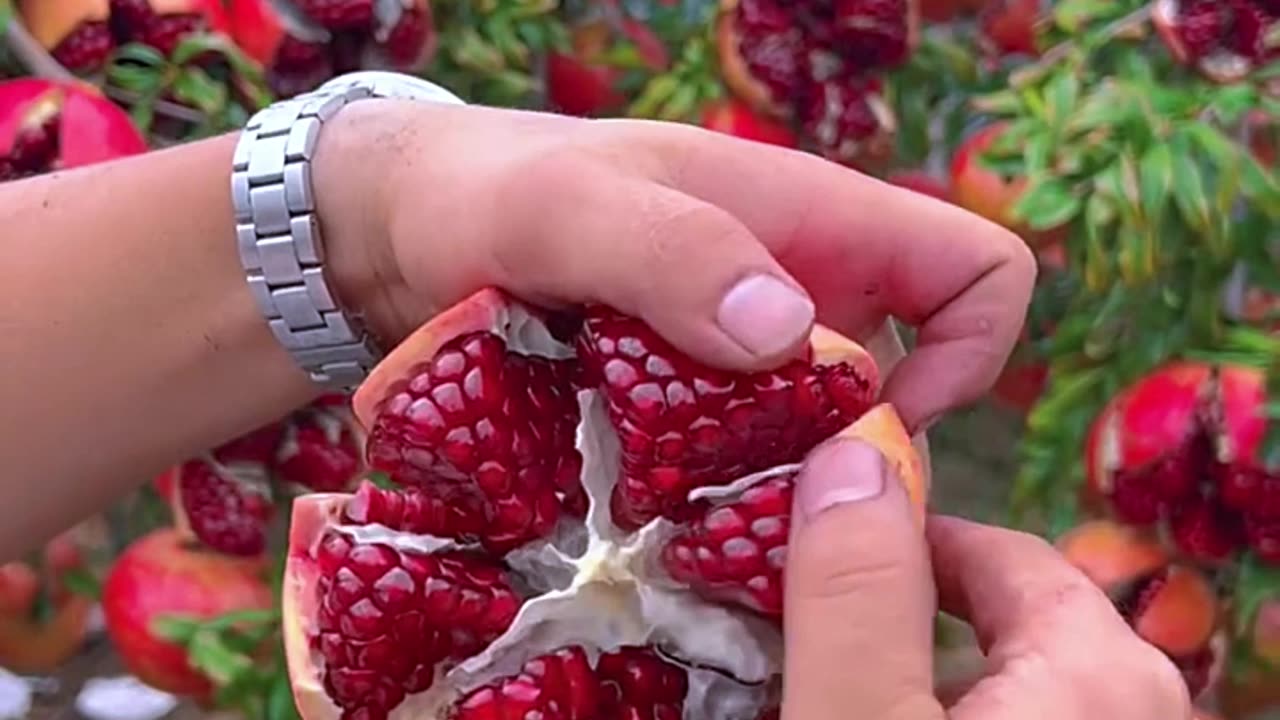 Fruit cutting skill absolutely fantastic