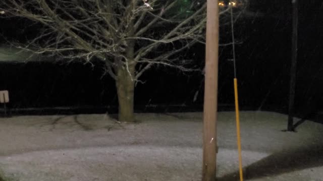 A little more snow today!