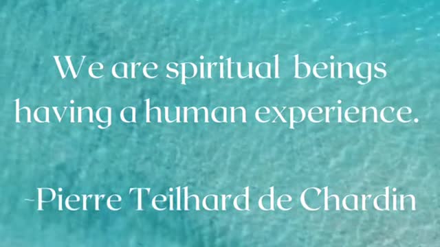 We are not human beings having a spiritual experience