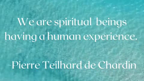 We are not human beings having a spiritual experience