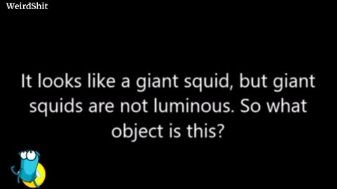 UNIDENTIFIED UNDERWATER OBJECT FILMED OFF THE PORT OF SAN DIEGO