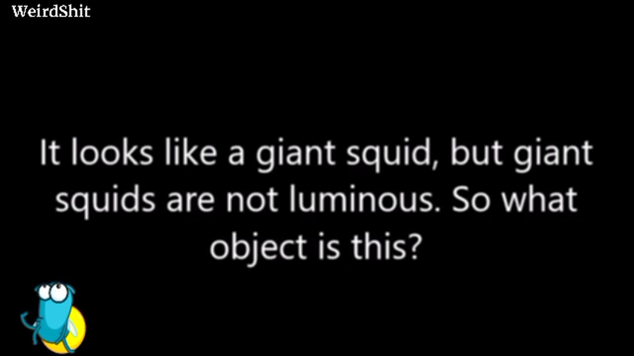 UNIDENTIFIED UNDERWATER OBJECT FILMED OFF THE PORT OF SAN DIEGO