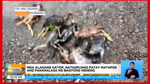 Maraming bayan sa Cagayan, binaha dahil saBagyong Neneng