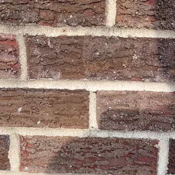 Happy 81st Birthday, Roger Waters